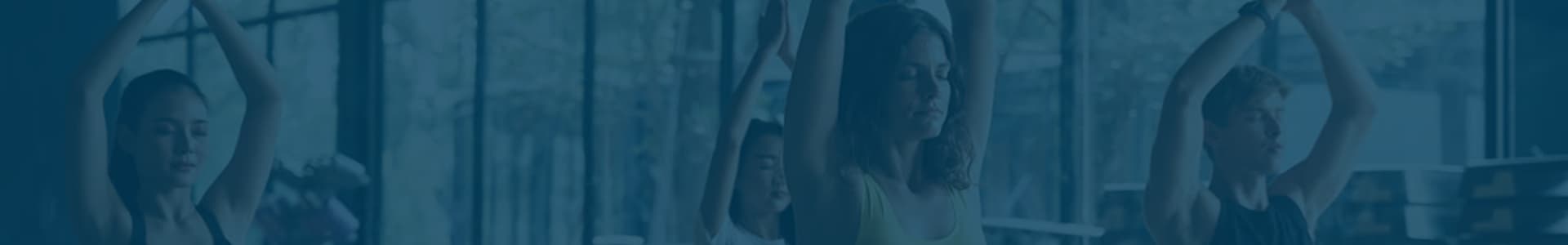 Sub Banner